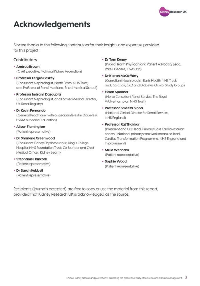 Kidney-Research-report-on-prevention-and-early-detection (1)_page-0003