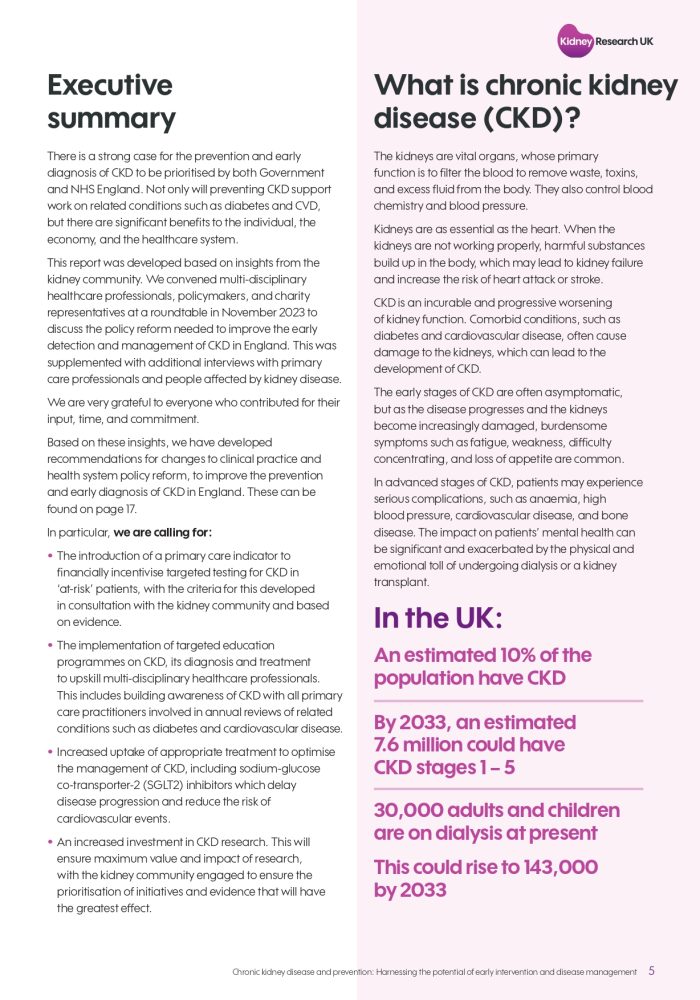 Kidney-Research-report-on-prevention-and-early-detection (1)_page-0005