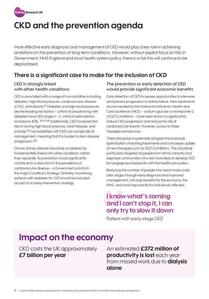 Kidney-Research-report-on-prevention-and-early-detection (1)_page-0006