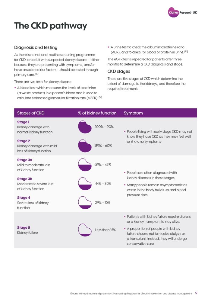 Kidney-Research-report-on-prevention-and-early-detection (1)_page-0009