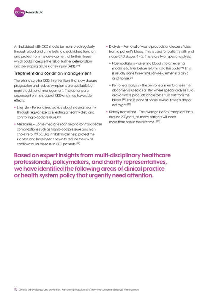 Kidney-Research-report-on-prevention-and-early-detection (1)_page-0010